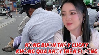 Trực Tiếp Tại Shop Bích Trâm Chia Buồn Cùng lucky \u0026 Bán Hàng Cùng Bích Trâm #sukien78