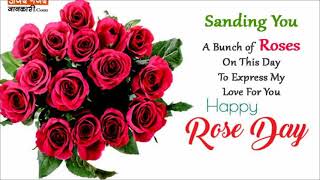 🌹🌹07 Feb Rose day whatsapp status🌹🌹 |Proposal status|Valentine's day status🥰💞