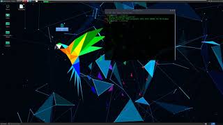 Pcap Analysis #3