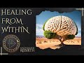 Healing from Within: Inner Transformation Techniques for Veterans with PTSD