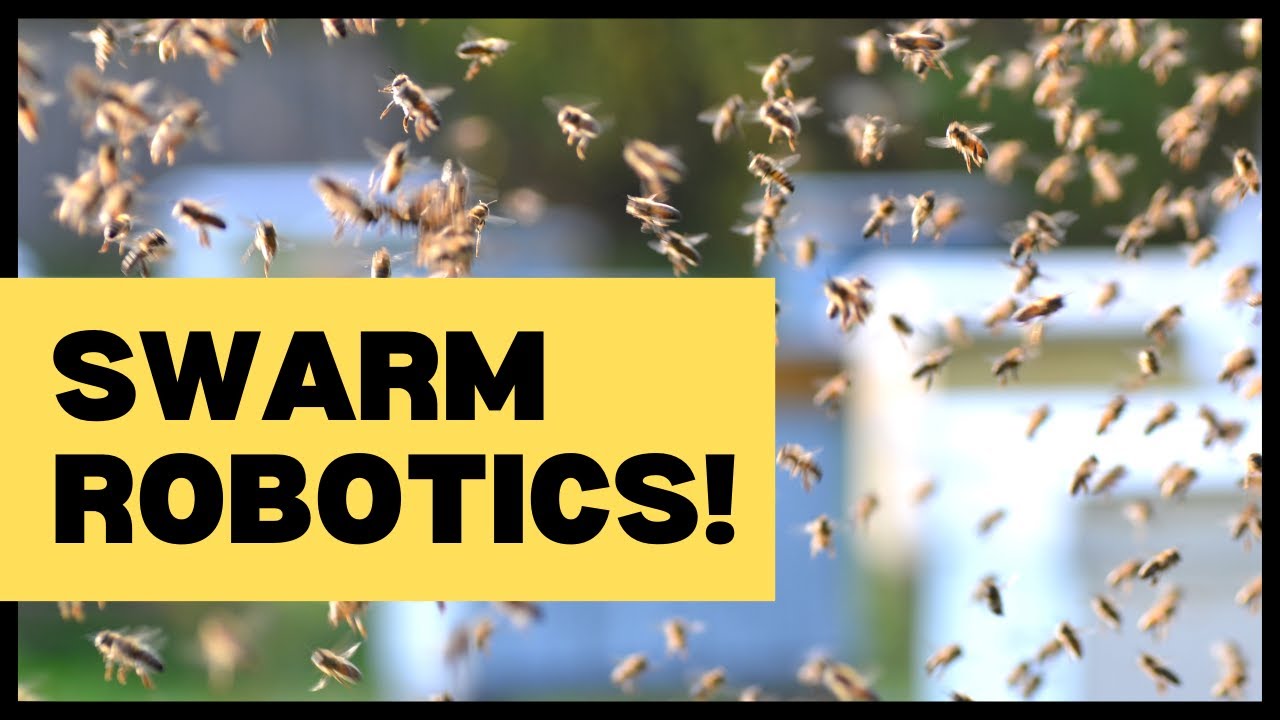 Exploring Swarm Robotics Youtube