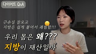 다이어트 때문에 여행이 두려울 때 마인드 셋 | 충전(치팅) 데이 시작한 이유 | 간식 어떻게 참나요 | 단백질 위주로 먹으면 정말 살이 안찔까?