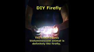 Cool DIY Firefly