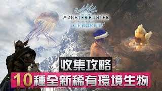 【收集攻略】10種全新稀有環境生物《Monster Hunter World: Iceborne》