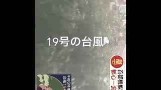 台風19号(2019)