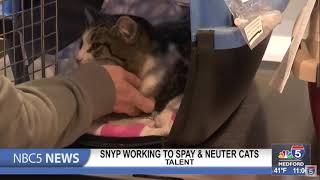 SNYP working to keep up with the demand of spay \u0026 neuter services