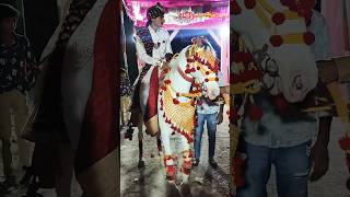 લગન માટે બુક કરો # 6354754541#Ramakdu horse official #viralvideo #sorts #video #shorts #vlog #love