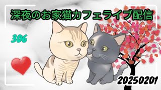 深夜のお家猫カフェライブ配信 ３０６