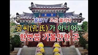 [꿈길TV] 공씨(孔氏)가 아니어도 한번은 가볼만한 곳 (오산 궐리사)