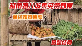 14岁越南孤儿在山间收集奇特野果，还采摘了一大捆蔬菜摆摊售卖