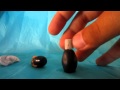 LADY GAGA FAME PERFUME CHARM TUTORIAL