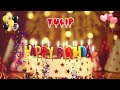 TULIP Happy Birthday Song – Happy Birthday to You