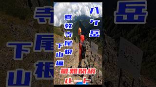 【最難関ルート】 真教寺尾根 下山編①【八ヶ岳】#登山  #赤岳  #百名山 #shorts