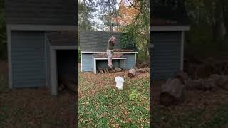 HOW TO DISPOSE OF A TOILET (SMASH CHALLENGE NUMBER 2) (HOW TO DO PLUMBING) HOW TO REMODEL YOUR HOME