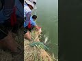 Mullet nets in the estuary once spread all baboons  Best Net, Fishing 58