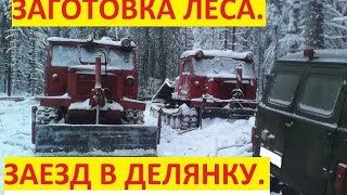 Заготовка леса.  Заезд в новую делянку.