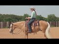 how to get your horse to lift it s back collection exercise