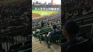 甲子園のカメラマン　　動きがそっくり(^^)