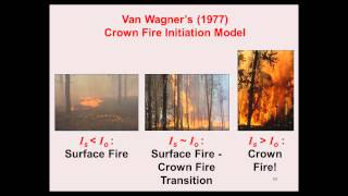 Crown Fire Behavior in Conifer Forests