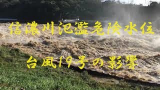 台風19号の影響で氾濫寸前の信濃川大河津分水