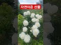 주님에 작품 감탄사가 절로