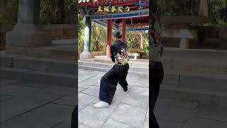 太极拳发力，节节贯串，力透骨骼！太极拳 武术 陈氏太极拳教学 想学太极的心达到了顶峰