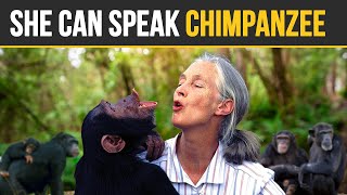 She Can Speak Chimpanzee