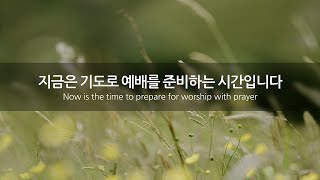 22.09.04 참빛교회 주일 새벽예배 실시간