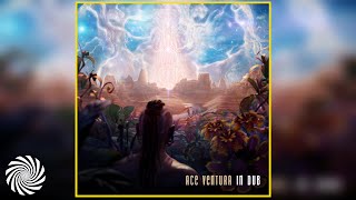 Ace Ventura & Liquid Soul - Psychic Experience (Gorovich Remix)