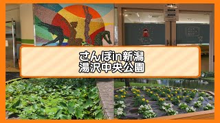 さんぽin新潟 #2「湯沢中央公園」