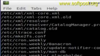 How to list all files in specific directory and sub directories in BASH shell terminal