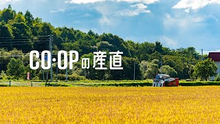 【COOPの産直】北海道生まれの産直のお米　～ゆめぴりか・ななつぼし～