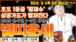 2025 을사년 1-6월 상반기 호랑이띠운세! 28세/40세/52세/64세 여러분은 보세요~ 로또 1등급 '횡재수'가 찾아와 성공가도가 펼쳐진다고 하니 걱정 붙들어 매세요!!