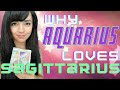 AQUARIUS AND SAGITTARIUS♒💙♐ | LOVE COMPATIBILITY