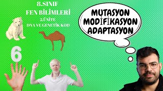 DNA VE GENETİK KOD /  MUTASYON , MODİFİKASYON , ADAPTASYON