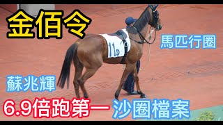 金伯令(G434)蘇兆輝/姚本輝/沙田賽事/ 4月2日 (第8場) 馬匹行圈記錄