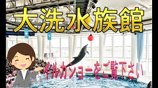 アクアワールド大洗水族館 　\