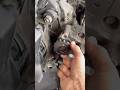 Replace worn chain sprockets