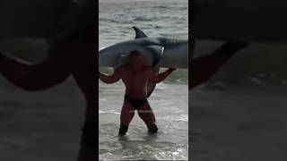 Brock Lesnar F5 S A Shark