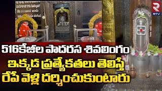 Biggest Mercury Shiva Lingam: దేశంలోనే అతిపెద్ద 516కేజీల పాదరస శివలింగం ఇక్కడ ప్రత్యేకతలు ఇవే ll RTV