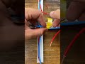 muitos eletricista não sabem fazer esse tipo de derivação em canaleta shorts electrician