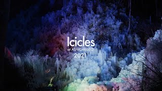 あしがくぼの氷柱 2021 ライトアップ / Icicles at ASHIGAKUBO 2021