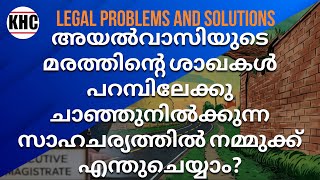 അയൽവാസിയുടെ മരത്തിന്റെ ശാഖകൾ പറമ്പിലേക്കു ചാഞ്ഞുനിൽക്കുന്ന സാഹചര്യത്തിൽ നമ്മുക്ക് എന്തുചെയ്യാം?