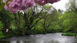 River Liffey at Kilcullen