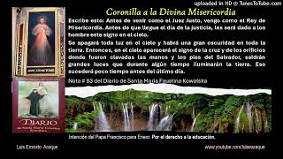 Coronilla a la Divina Misericordia para hoy miércoles 22 de enero de 2025