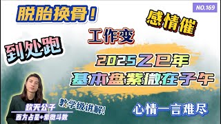 2025乙巳年基本盘「紫微在子午」年运分析！#钦天公子 #紫微斗数 #2025年运