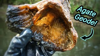 I Can't Stop Hunting For Agatized Coral! Rockhounding Fossil Coral Geodes in a Georgia River (Agate)