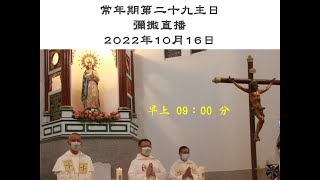 20221016-萬金聖母聖殿 -常年期第 二十九 主日