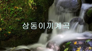 [4K]. 한국의 자연 풍경.상동 이끼계곡.[4K]. Korea's natural landscape. Sangdong Moss Valley