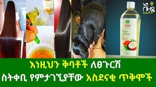 Ethiopia:- እነዚህን ቅባቶች ለፀጉርሽ  ስትቀቢ የምታገኚያቸው አስደናቂ ጥቅሞች | Nuro Bezede Girls